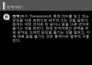 번역가에 대하여  2페이지