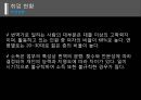 번역가에 대하여  33페이지