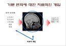 양극성 장애란 무엇인가  36페이지