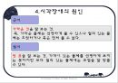 시각장애인의 심리  13페이지
