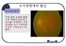 시각장애인의 심리  21페이지