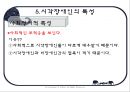 시각장애인의 심리  32페이지