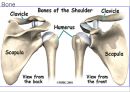 SHOULDER 2페이지