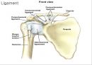 SHOULDER 4페이지