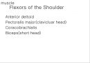SHOULDER 5페이지