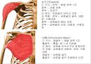 SHOULDER 6페이지