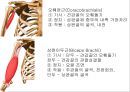 SHOULDER 7페이지
