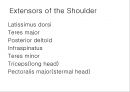 SHOULDER 8페이지