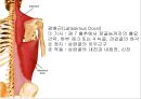 SHOULDER 9페이지