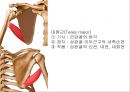 SHOULDER 10페이지