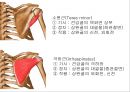 SHOULDER 11페이지