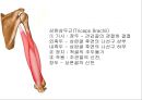 SHOULDER 12페이지