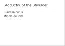 SHOULDER 13페이지
