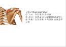 SHOULDER 14페이지