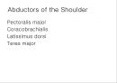 SHOULDER 15페이지