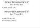 SHOULDER 16페이지