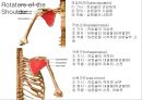 SHOULDER 17페이지