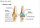 ELBOW 2페이지