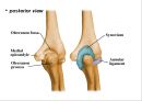 ELBOW 3페이지