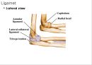ELBOW 4페이지