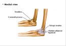 ELBOW 5페이지