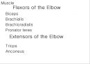 ELBOW 6페이지