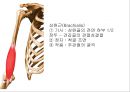 ELBOW 8페이지