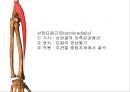 ELBOW 9페이지