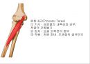 ELBOW 10페이지