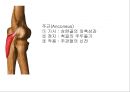 ELBOW 12페이지