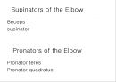 ELBOW 13페이지