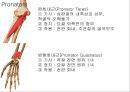 ELBOW 15페이지