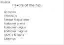 HIP & PELVIS 4페이지