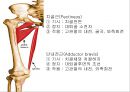 HIP & PELVIS 6페이지