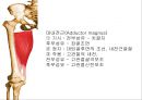 HIP & PELVIS 9페이지
