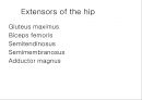 HIP & PELVIS 11페이지