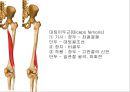 HIP & PELVIS 13페이지
