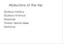 HIP & PELVIS 15페이지