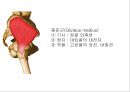 HIP & PELVIS 16페이지