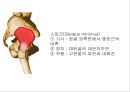 HIP & PELVIS 17페이지