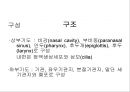 Lung 2페이지