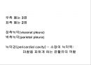 Lung 7페이지