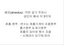 Lung 8페이지