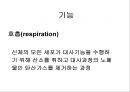 Lung 11페이지
