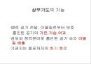 Lung 12페이지
