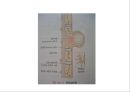 Lung 13페이지