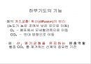 Lung 14페이지