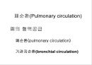 Lung 15페이지
