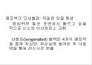 Lung 17페이지
