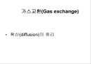 Lung 18페이지
